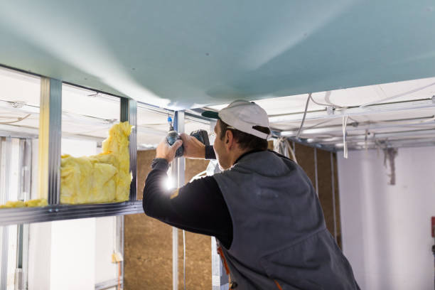 Best Professional Insulation Contractor  in Morrisonville, NY