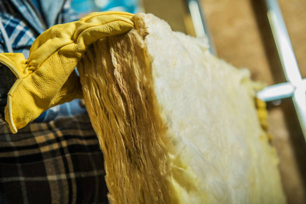 Best Insulation Contractor Near Me  in Morrisonville, NY