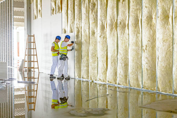 Best Insulation for New Construction  in Morrisonville, NY